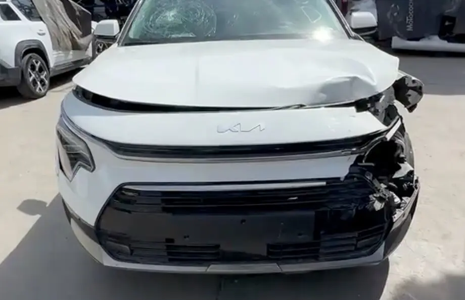 El Kia Niro